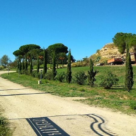 Agriturismo Il Poderino Villa Tarquinia Bagian luar foto