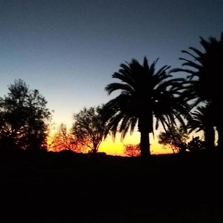 Agriturismo Il Poderino Villa Tarquinia Bagian luar foto