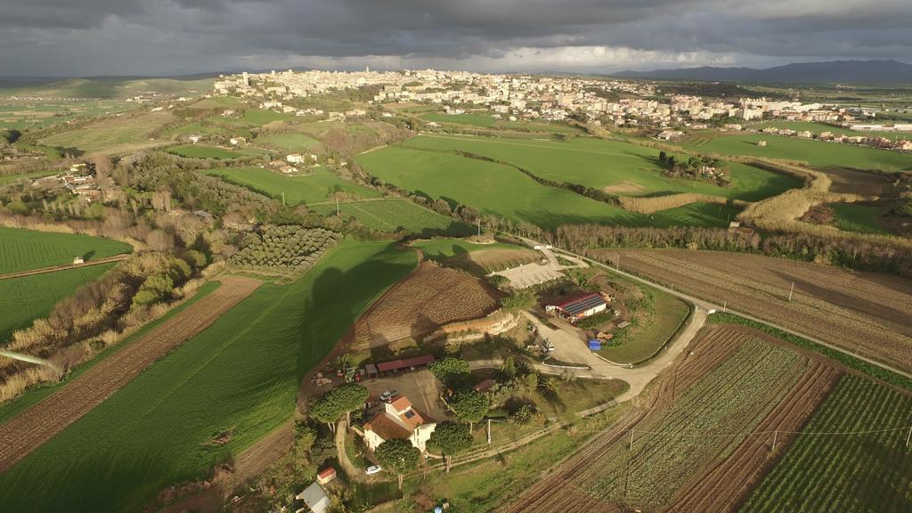 Agriturismo Il Poderino Villa Tarquinia Bagian luar foto