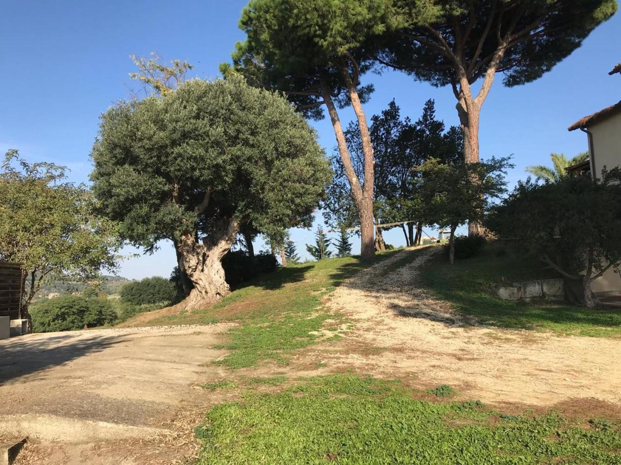 Agriturismo Il Poderino Villa Tarquinia Bagian luar foto