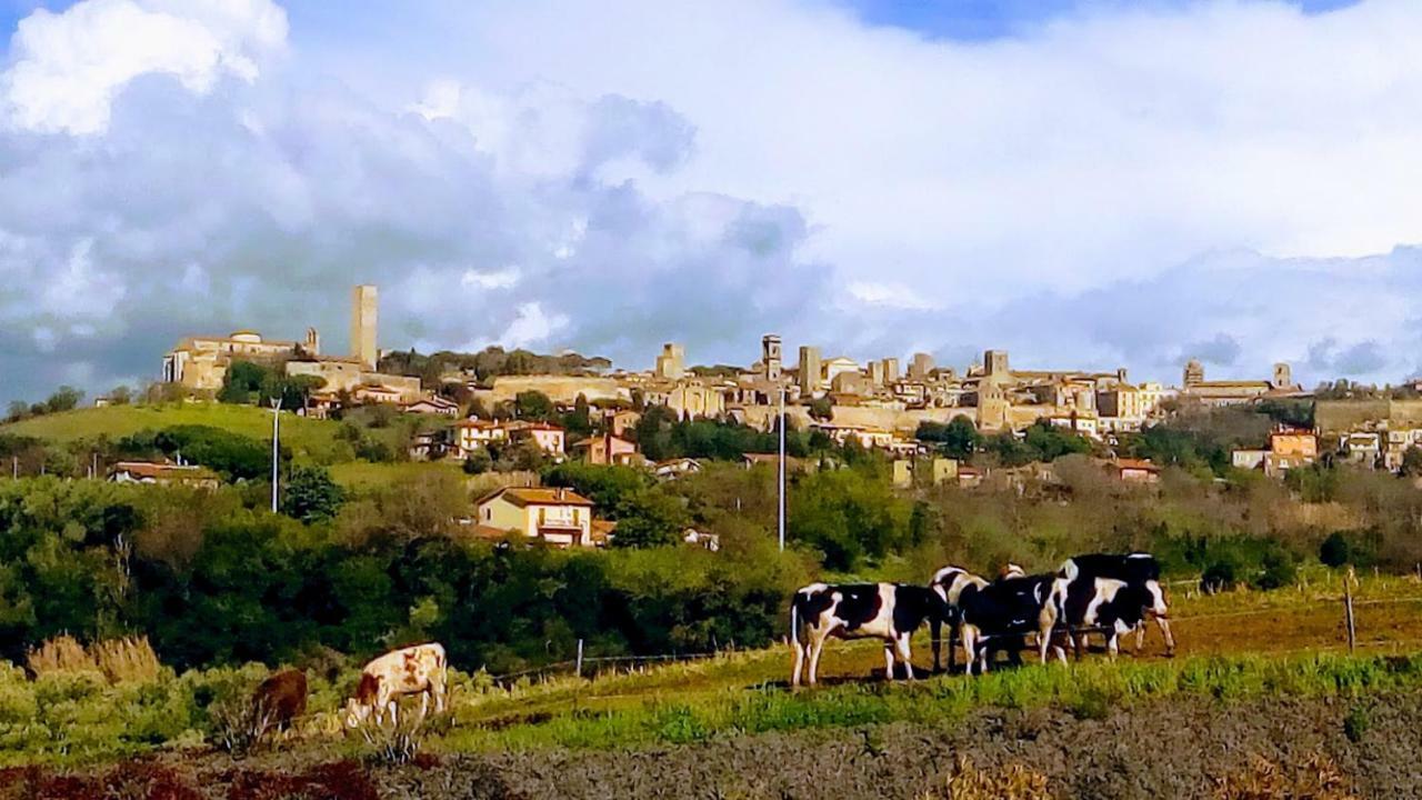 Agriturismo Il Poderino Villa Tarquinia Bagian luar foto